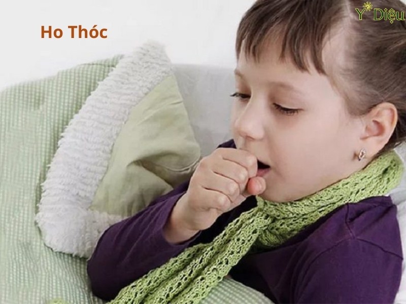 Ho Thóc: Nguyên Nhân, Triệu Chứng Và Cách Điều Trị Hiệu Quả